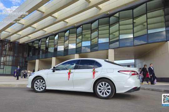 Заказать Toyota Camry XV70 на свадьбу Заказать Toyota Camry XV70 на свадьбу