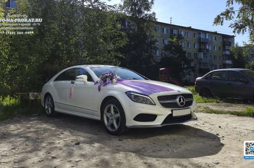 Mercedes CLS C218 AMG и вариант украшения №96
