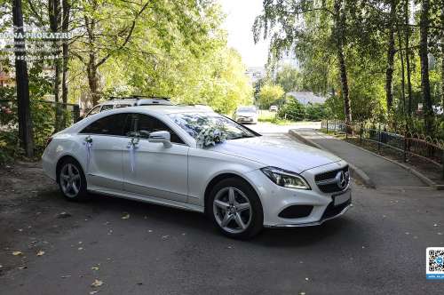 Mercedes CLS C218 AMG и вариант украшения №20