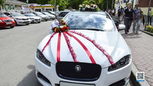 Вариант украшений для свадебного авто №01