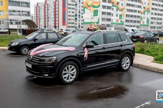 Вариант украшений для свадебного авто №43