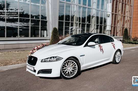 Вариант украшений для свадебного авто №02 Вариант украшений для свадебного авто №02