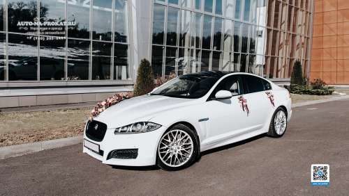 Вариант украшений для свадебного авто №02