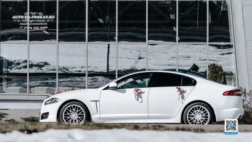 Вариант украшений для свадебного авто №02