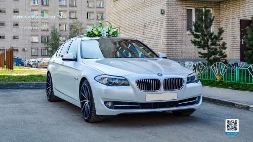 Свадебные кольца на крышу авто в аренду