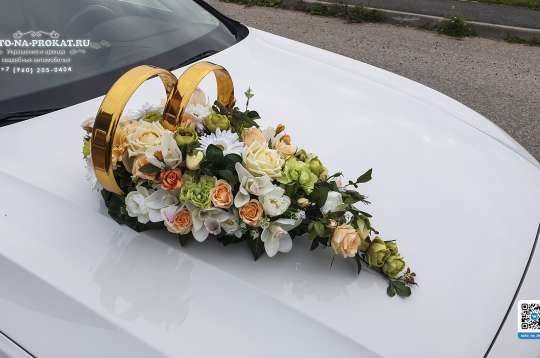 Кольца на капот №48