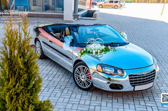 Вариант украшения свадебного автомобиля №49