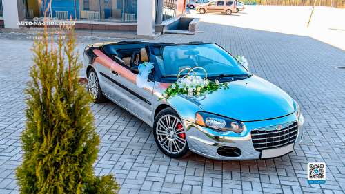 Вариант украшения свадебного автомобиля №49