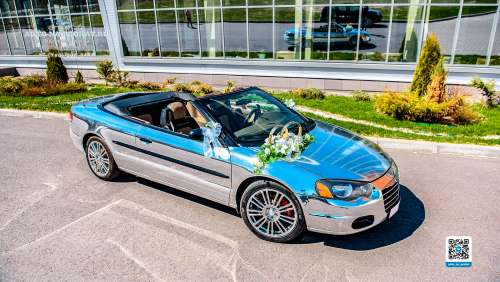 Вариант украшения свадебного автомобиля №49