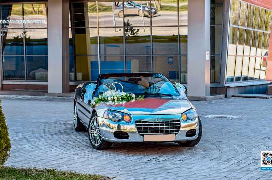 Вариант украшения свадебного автомобиля №49
