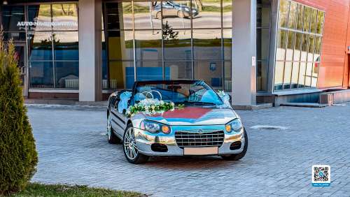 Вариант украшения свадебного автомобиля №49