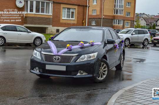 Вариант украшений для свадебного авто №55