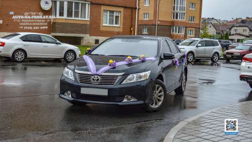 Вариант свадебного украшения 55 Вариант свадебного украшения 55