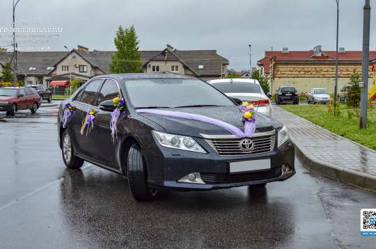 Вариант свадебного украшения 55