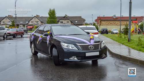 Вариант свадебного украшения 55 Вариант свадебного украшения 55