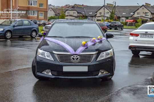 Вариант свадебного украшения 55