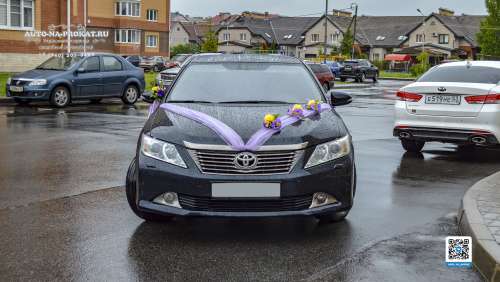 Вариант свадебного украшения 55 Вариант свадебного украшения 55