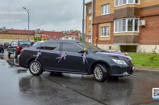 Вариант свадебного украшения 55