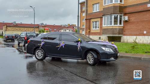 Вариант свадебного украшения 55 Вариант свадебного украшения 55