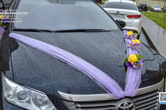 Вариант свадебного украшения 55