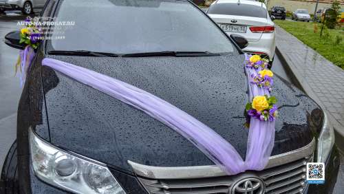 Вариант свадебного украшения 55 Вариант свадебного украшения 55