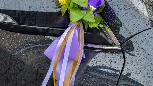 Вариант свадебного украшения 55 Вариант свадебного украшения 55