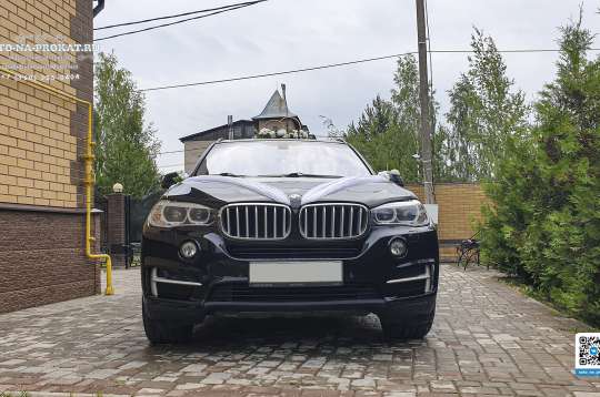 Вариант украшений для свадебного авто №56