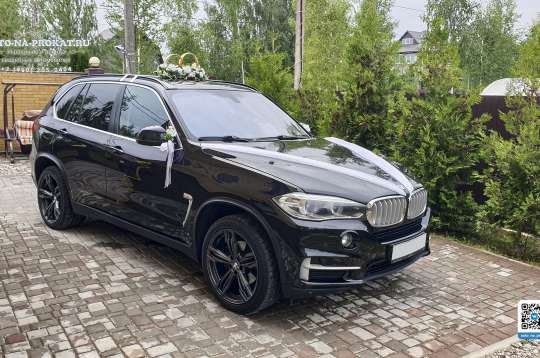 Вариант украшений для свадебного авто №56