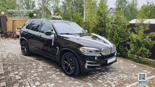 Вариант украшений для свадебного авто №56