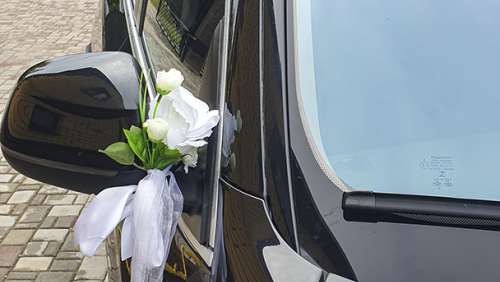 Вариант украшений для свадебного авто №56