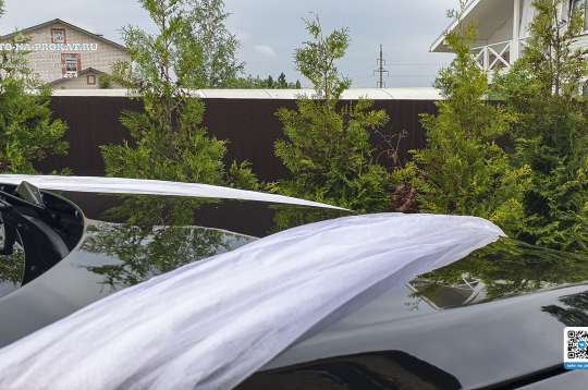 Вариант украшений для свадебного авто №56