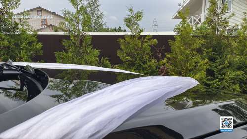 Вариант украшений для свадебного авто №56