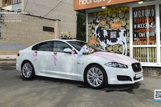 Вариант украшений для свадебного авто №03