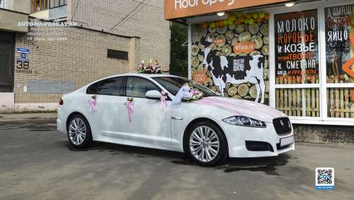 Вариант украшений для свадебного авто №03