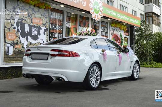 Вариант украшений для свадебного авто №03