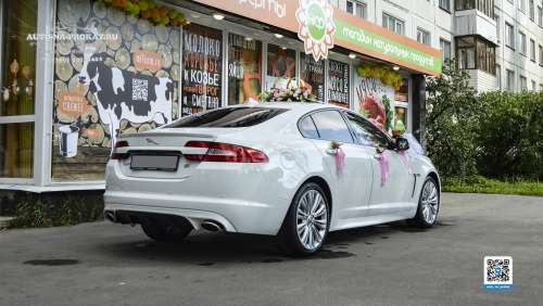 Вариант украшений для свадебного авто №03