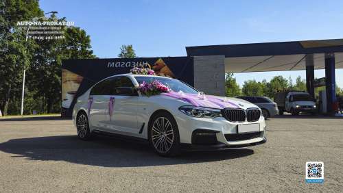 Вариант украшений для свадебного авто №57