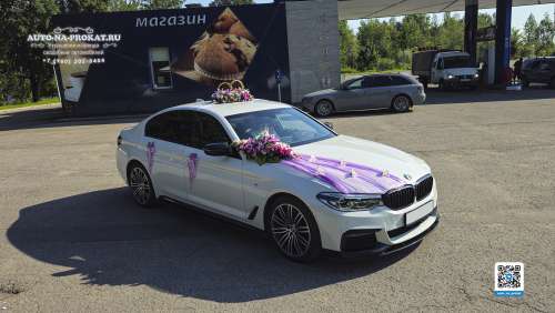 Вариант украшений для свадебного авто №57