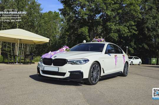 Вариант украшений для свадебного авто №57