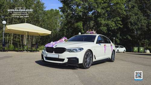 Вариант украшений для свадебного авто №57