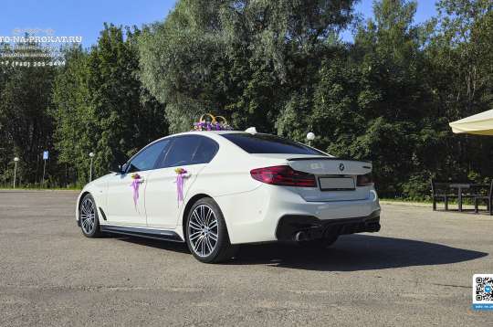 Вариант украшений для свадебного авто №57