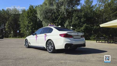 Вариант украшений для свадебного авто №57