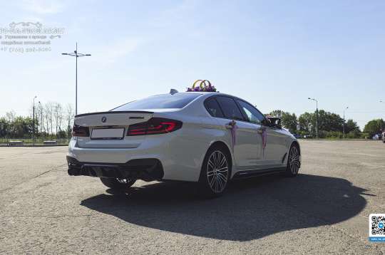 Вариант украшений для свадебного авто №57