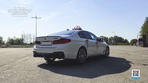 Вариант украшений для свадебного авто №57