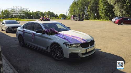 Вариант украшений для свадебного авто №57