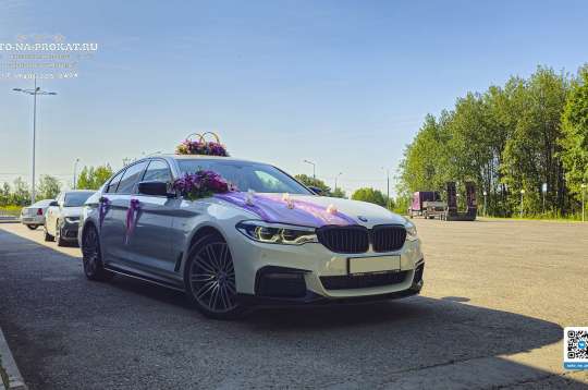 Вариант украшений для свадебного авто №57