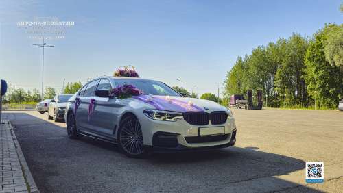 Вариант украшений для свадебного авто №57