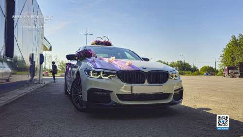 Вариант украшений для свадебного авто №57