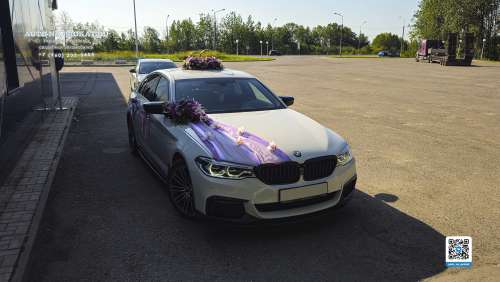 Вариант украшений для свадебного авто №57