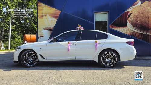 Вариант украшений для свадебного авто №57